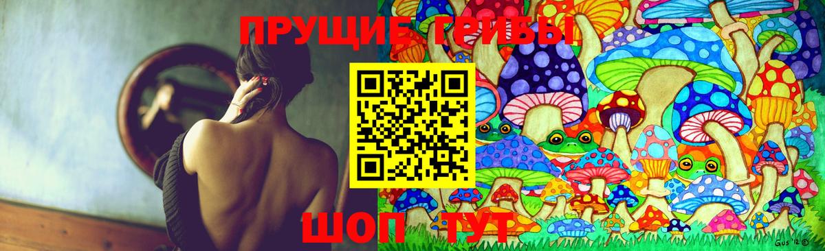 Галлюциногенные грибы Psilocybe Ярцево