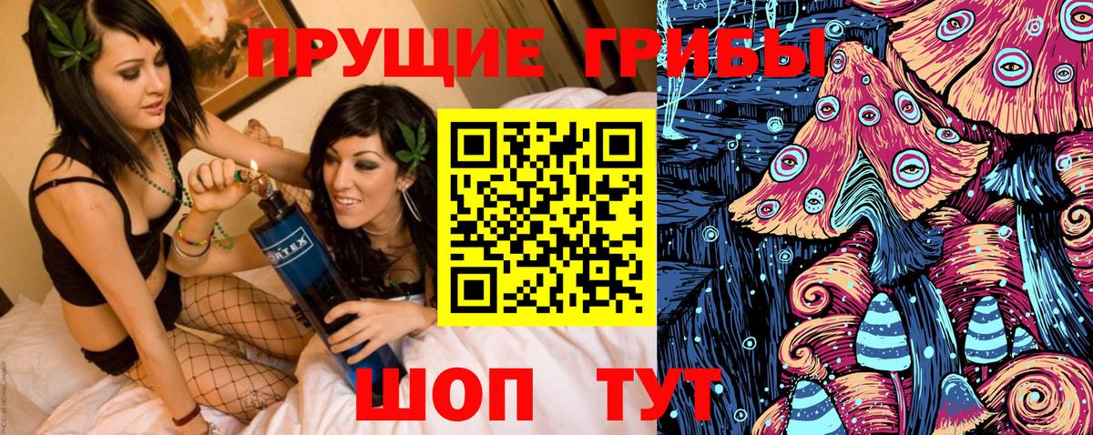 Ярцево  Галлюциногенные грибы Psilocybine cubensis  Вход с VPN  Псилоцибиновые грибы MAGIC MUSHROOMS 
